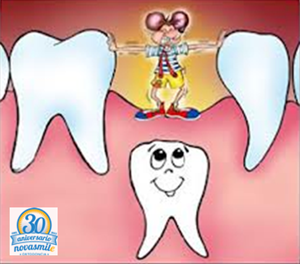 Erupción de los dientes: ¿Cuándo y en qué orden salen los dientes?